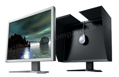 EIZO ColorEdge CG19 (Gris)