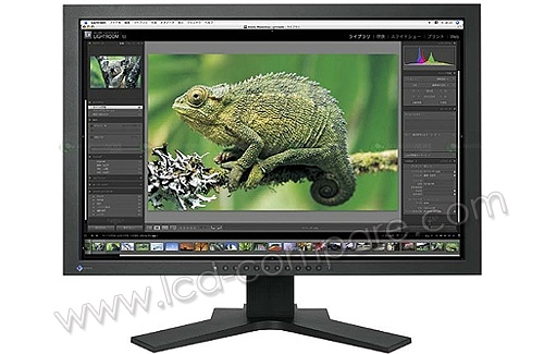 EIZO CG241W