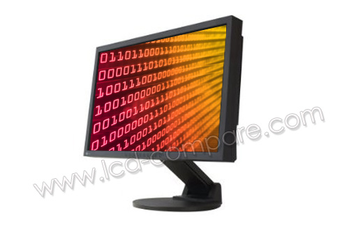 EIZO FlexScan EV2411WE-BK