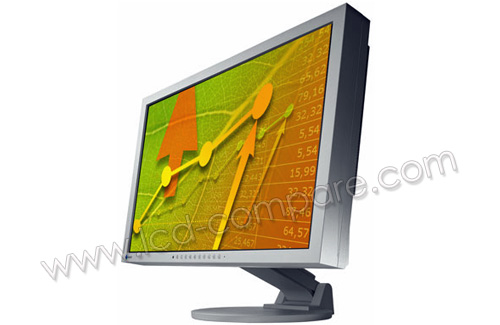EIZO FlexScan EV2411WE-GY