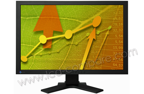 EIZO FlexScan EV2411WH-BK