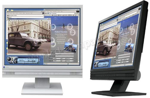 EIZO FlexScan L367 (Gris)