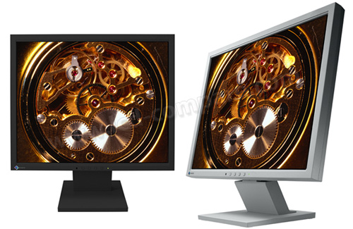 EIZO FlexScan P1700 (Gris)