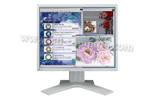 EIZO Flexscan L568 Gris