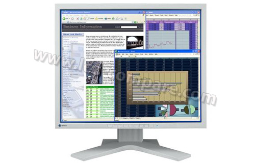 EIZO Flexscan L768 Gris