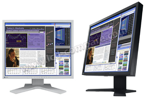 EIZO FlexScan L788 (Gris)