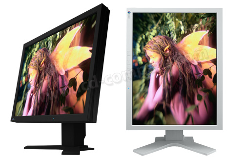 EIZO Flexscan L997 (Gris)