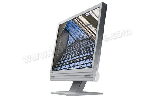 EIZO Flexscan M1700 (Gris)