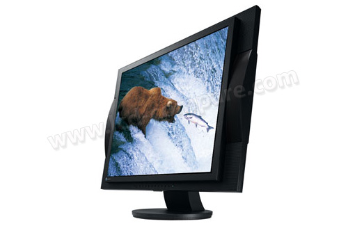 EIZO Flexscan M1950 (Noir)