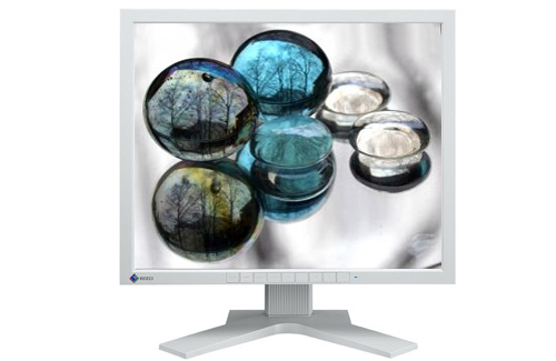 EIZO FlexScan S1911SH-GY