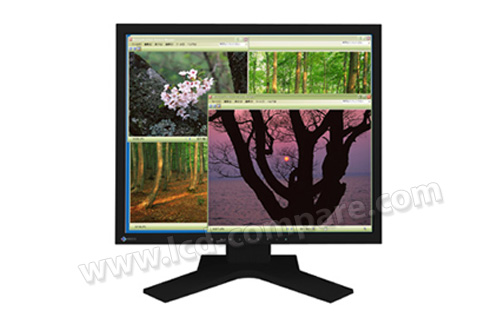 EIZO FlexScan S1921 (Noir)