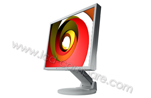 EIZO FlexScan S1921SE-GY