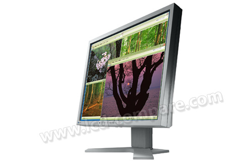 EIZO FlexScan S1931 (Gris)