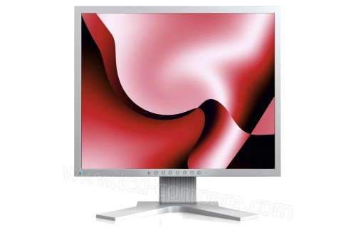 EIZO FlexScan S1933H-GY