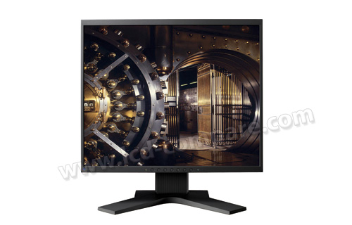 EIZO FlexScan S1961 (Noir)