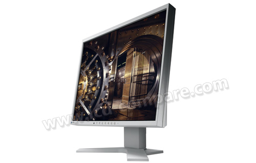 EIZO FlexScan S1961 (Gris)