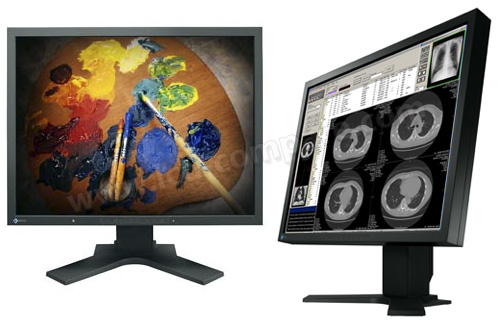 EIZO Flexscan S2100 (Noir)