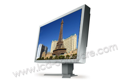 EIZO FlexScan S2201WH-GY