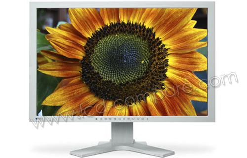 EIZO FlexScan S2431W GY