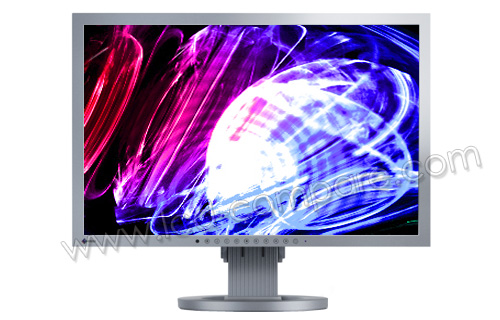 EIZO FlexScan S2433WFS-GY