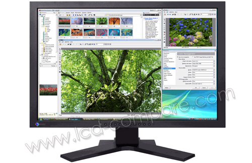 EIZO FlexScan SX2461W-BK