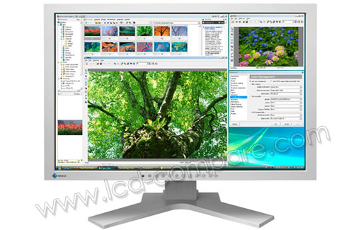 EIZO FlexScan SX2461W-GY