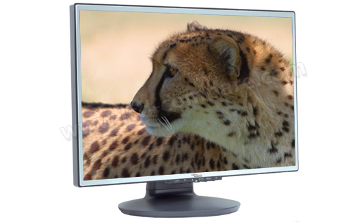 FUJITSU SIEMENS L19-1W Scaleoview 