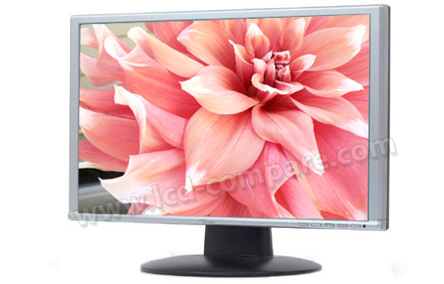 FUJITSU SIEMENS L22-1W Scaleoview