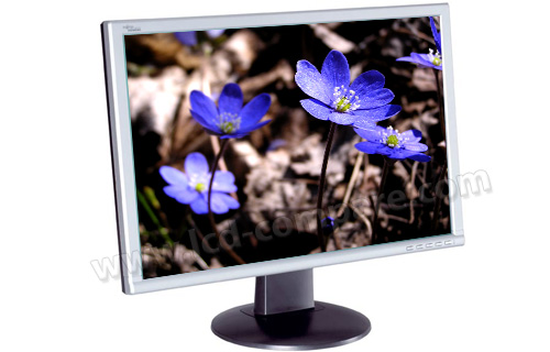 FUJITSU SIEMENS L22W-2 Scaleoview