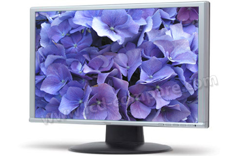 FUJITSU SIEMENS L22W-6SA Scaleoview