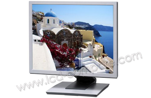 FUJITSU SIEMENS P19-3 Scenicview