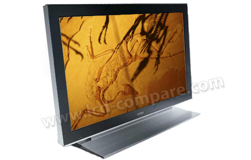 HANTAREX GW Stripes Black