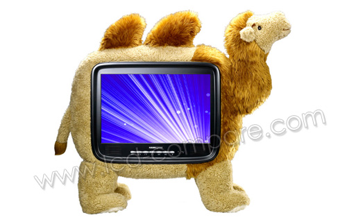 HANNSPREE HANNScamel.19 TV