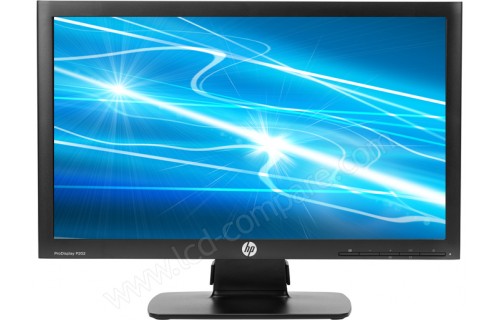 HEWLETT PACKARD HP ProDisplay P202
