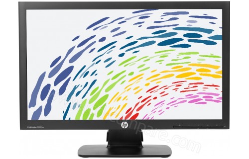 HEWLETT PACKARD HP ProDisplay P222va