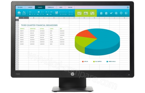 HEWLETT PACKARD HP ProDisplay P203