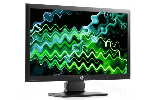 HEWLETT PACKARD HP ProDisplay P221
