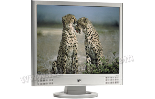 HEWLETT PACKARD HP vs19