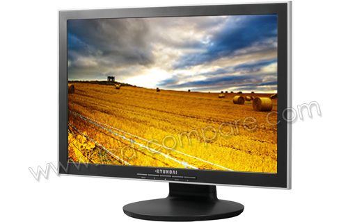 HYUNDAI ImageQuest N220Wa+