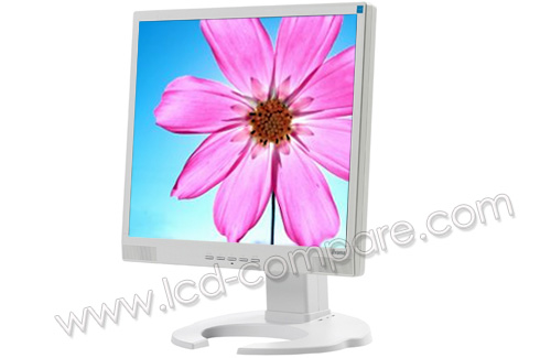 IIYAMA ProLite B1702S-W2