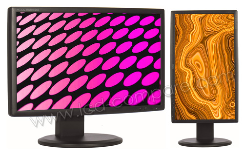 IIYAMA ProLite B2209HDS-B1