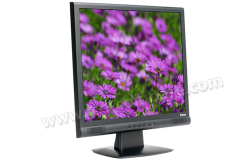 IIYAMA ProLite E1900S-B2