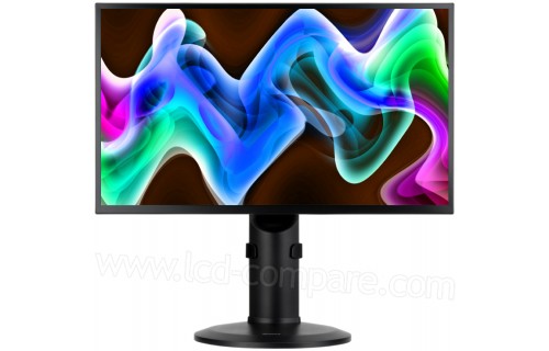 IIYAMA ProLite B2481HS-B1