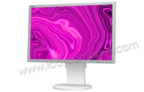 NEC MultiSync EA222WMe S