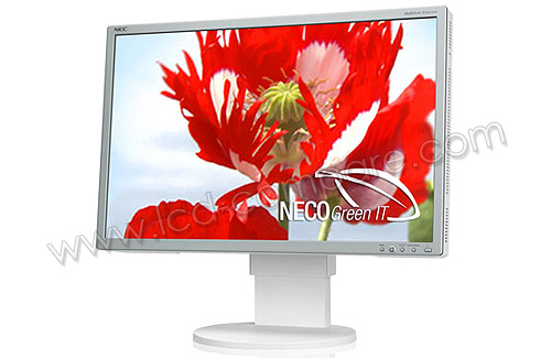 NEC MultiSync EA261WM S