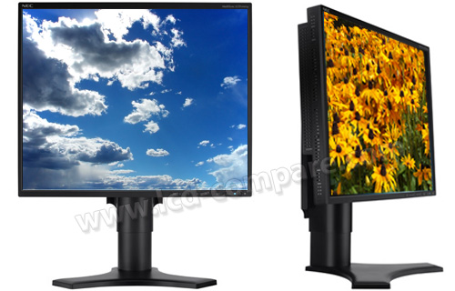 NEC MultiSync LCD1990FXp BK