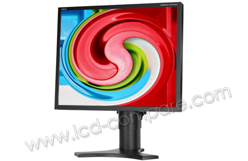 NEC MultiSync LCD1990SX BK