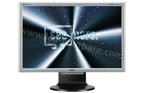 NEC MultiSync LCD20WGX&sup2;