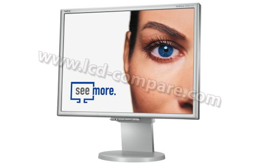 NEC MultiSync LCD2170NX