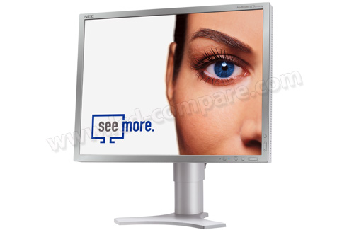 NEC MultiSync LCD2190UXp S